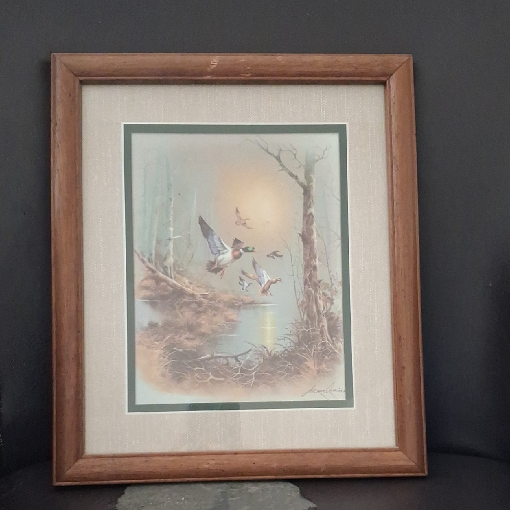 Framed Nature Artwork with Ducks